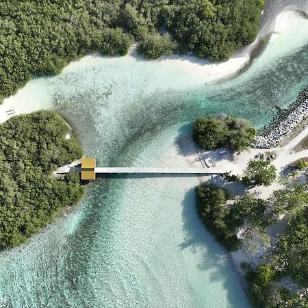 Surf Yoga Camp Hotel Thulusdhoo ภายนอก รูปภาพ